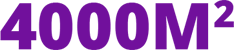 4000 mÂ²